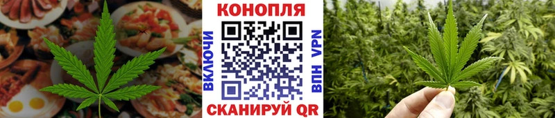 Canna-Cookies конопля  продажа наркотиков  Киров 