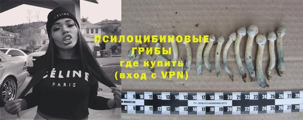 круглые Белокуриха